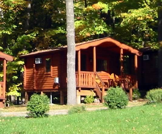 Wine Country Cabins Bed and Breakfast - Lodi, NY Inn for Sale