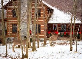 Kentucky Log Cabin: Christmas at the cabin!