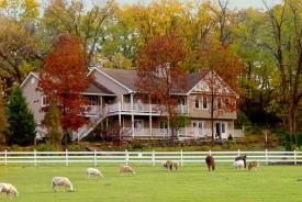 The Speckled Hen Inn: Main Inn Photo