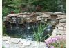 Victoria House Bed and Breakfast: Koi Pond