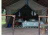 Enchoro Wildlife Camp: Tripple Room