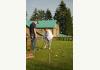 SOLD!  Lake Pointe Inn-Deep Creek Lake, Maryland: Croquet on the Lawn